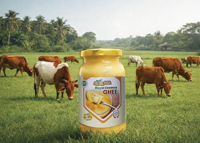 ঘি তৈরির প্রক্রিয়া